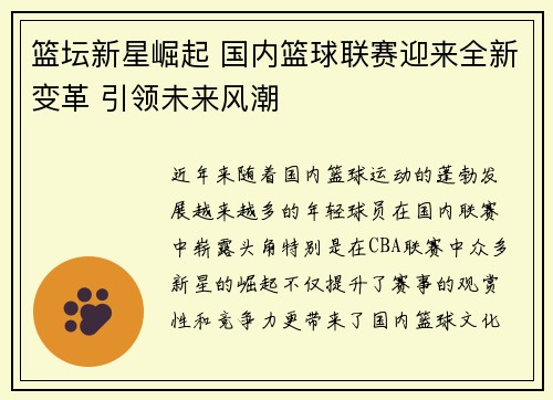 篮坛新星崛起 国内篮球联赛迎来全新变革 引领未来风潮